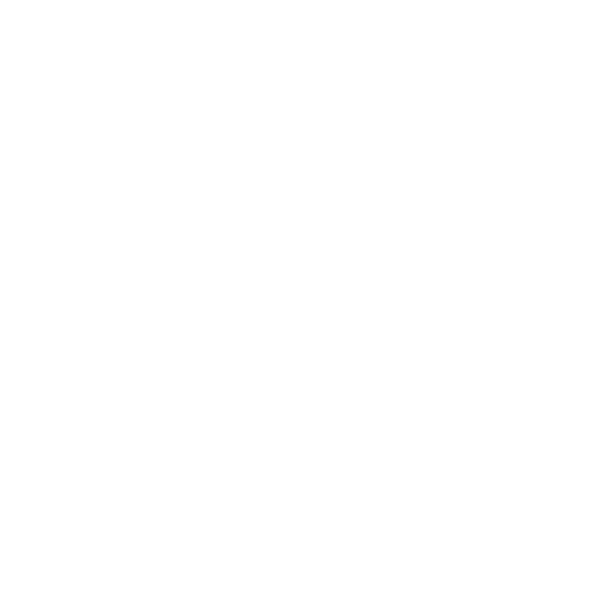 Light Bulb Icon