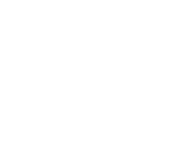 Kitty City Logo